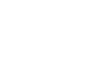 VIRAM Travel Advisor